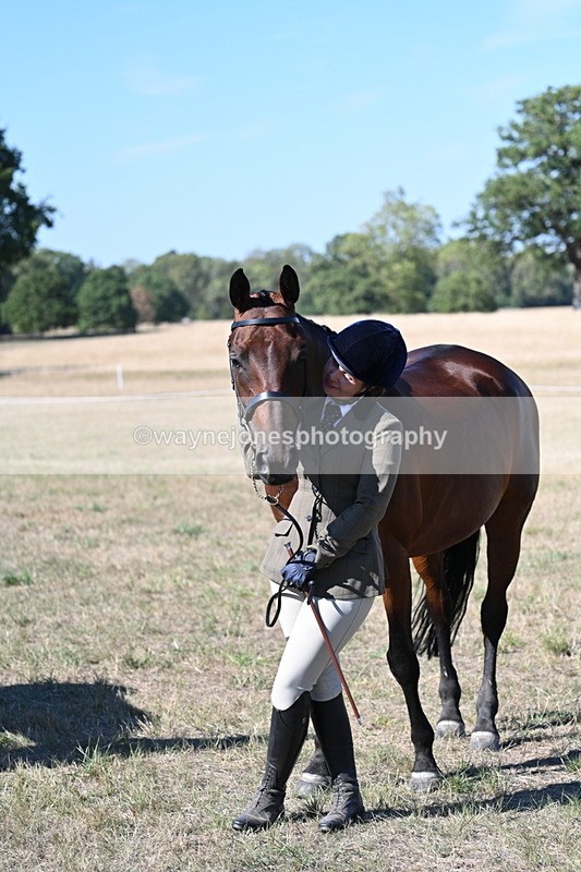 WJ7_1891 - Class 43 Best Six Legs (In hand)
