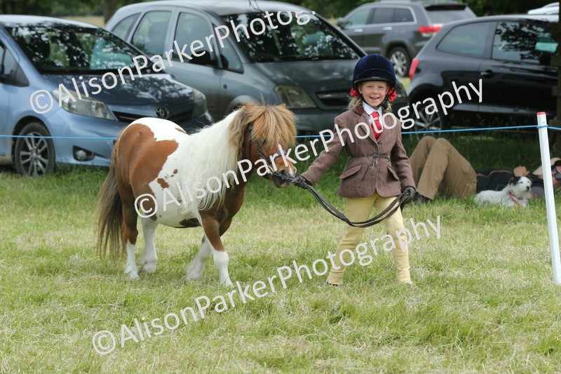 20260614-4261 - Class 18 - Best Junior Handler