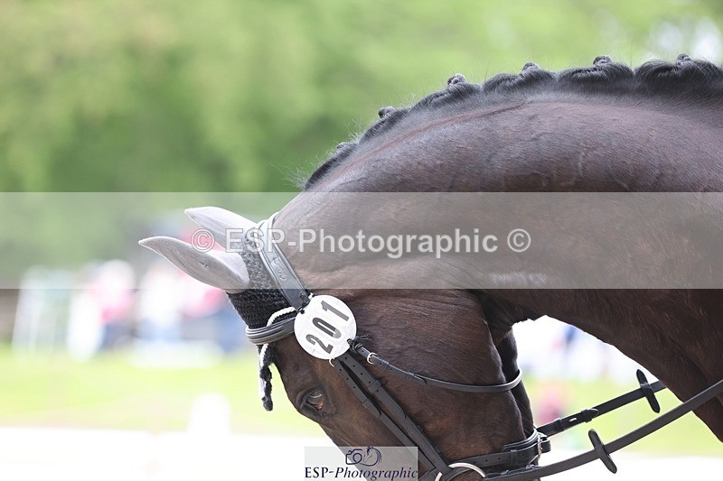 240523-090103-03038 - 201-PRIMITIVE_FUNTIME-Roberto_Scalisi