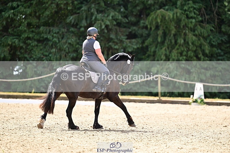 260802A-115543-06011 - Novice Silver break- end