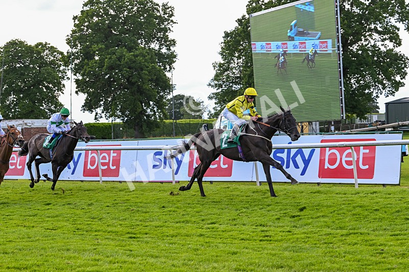 160624-Race 4-Align The Stars-8825 - Race 4