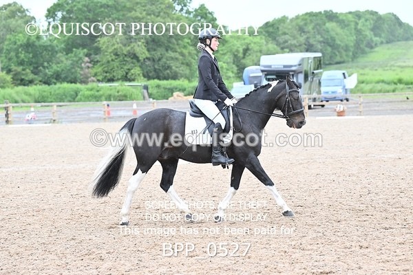 BPP_0527 - 23 K MILLER