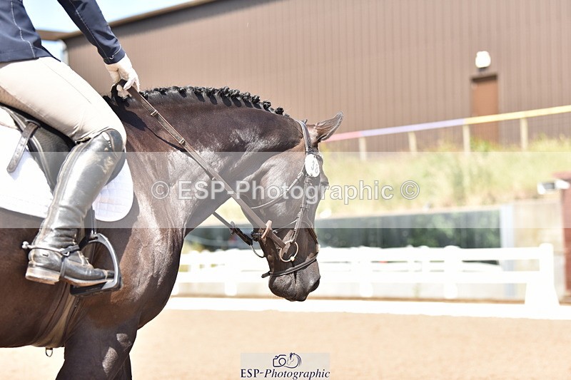 240706A-151108-03462 - Cls 4C Snr Novice 23