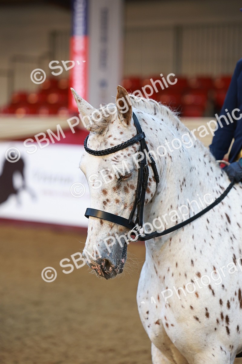 SBM_14608 - Class A - Junior Champ 10 year and Under