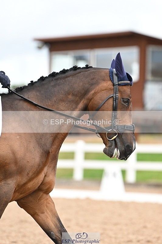 250705-175529-02832 - N1 Section BDNOV1 1350 to 15.28