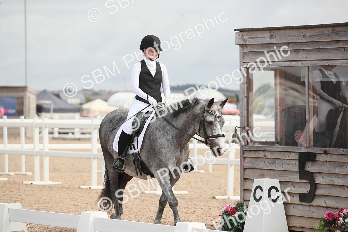 SBM_03917 - Class 31 - Prelim 1