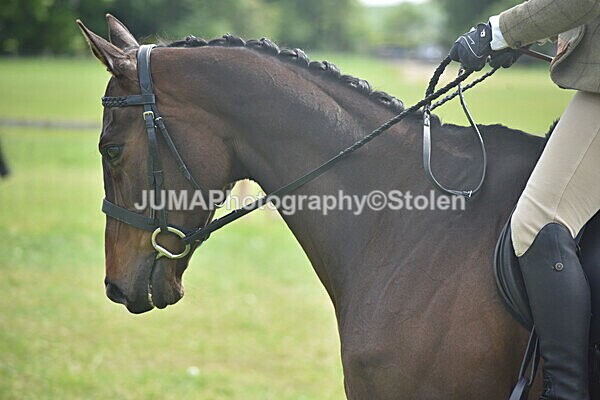 DSC_8767 - Rings 1 & 2