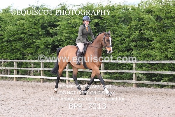 BPP_7013 - RING 1  (RIDDEN HORSES / IN HAND / VETERAN ETC)