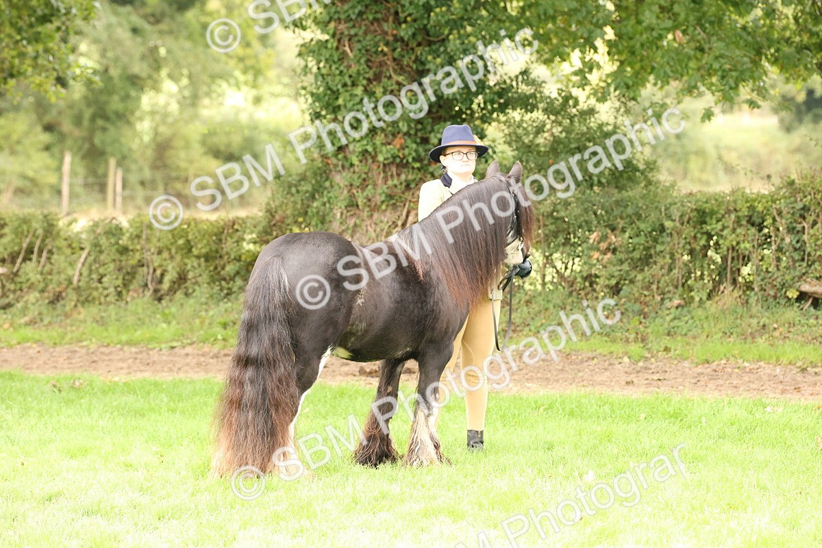 SBM_59249 - S57 - Traditional Cob In Hand