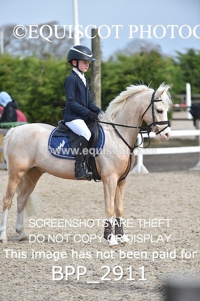 BPP_2911 - CLASS 2 128cm Pony Royal Highland Show Championship Qualifier
