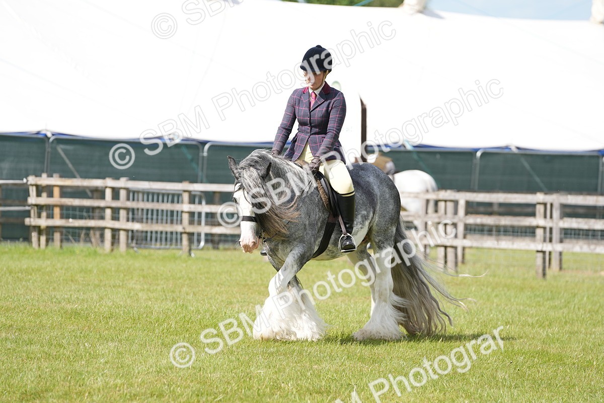 SBM_17303 - Class 107-108 - LIHS BSPS Performance Coloured Horse Pony