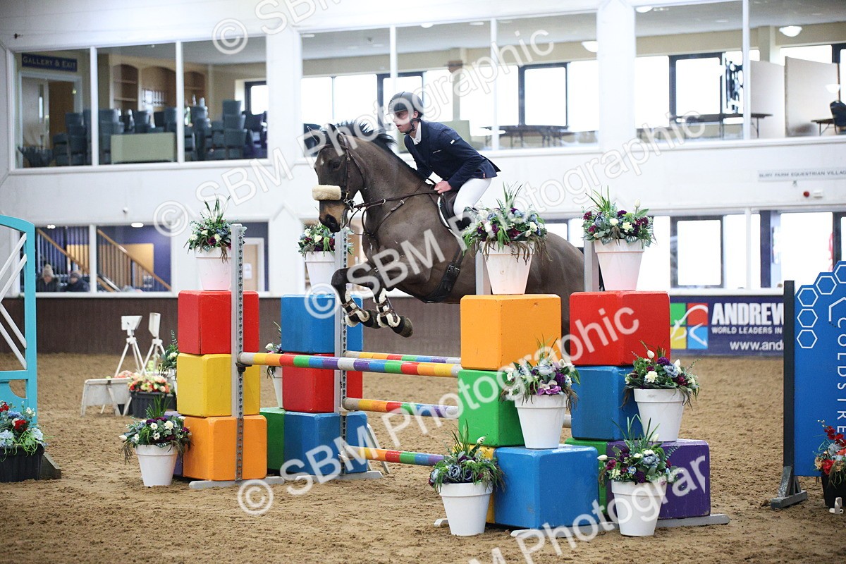 5K7A3768 - Class 2 - Nupafeed Supplements Senior Discovery/ 1m Open