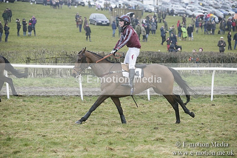 PtP 020418 -335 - Old Berks Point-to-Point Races Easter Monday 02/04/18
