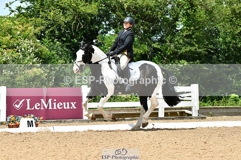 230702A-131116-09803 - Cls 28 Elementary 45