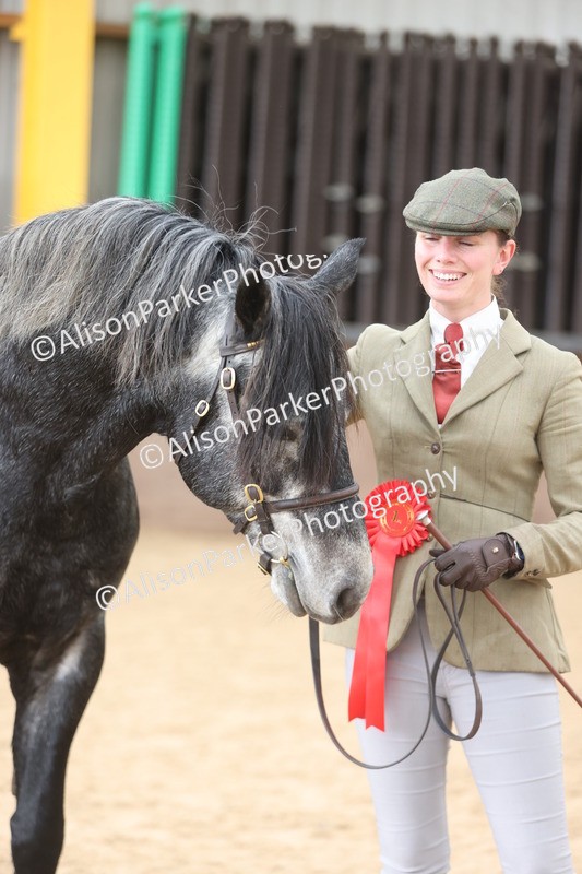 20251109-1024 - Class 27 - Stallions 4 Years and over