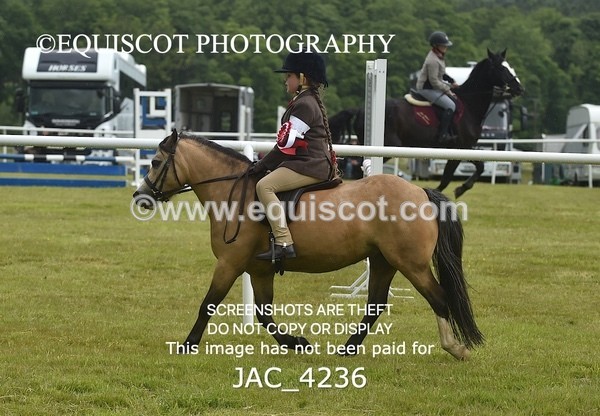 JAC_4236 - WORKING HUNTER CHAMPIONSHIP