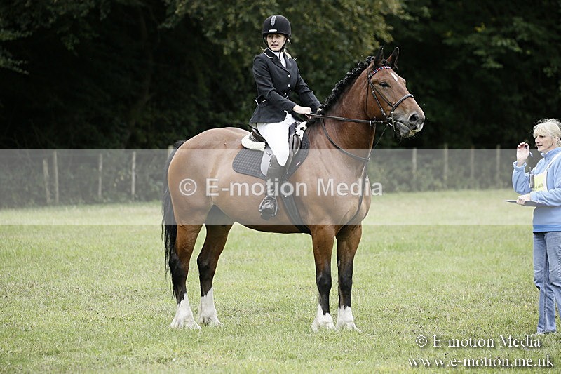 BVR080918 5 - BVRC Novice Dressage & CR 08/09/18