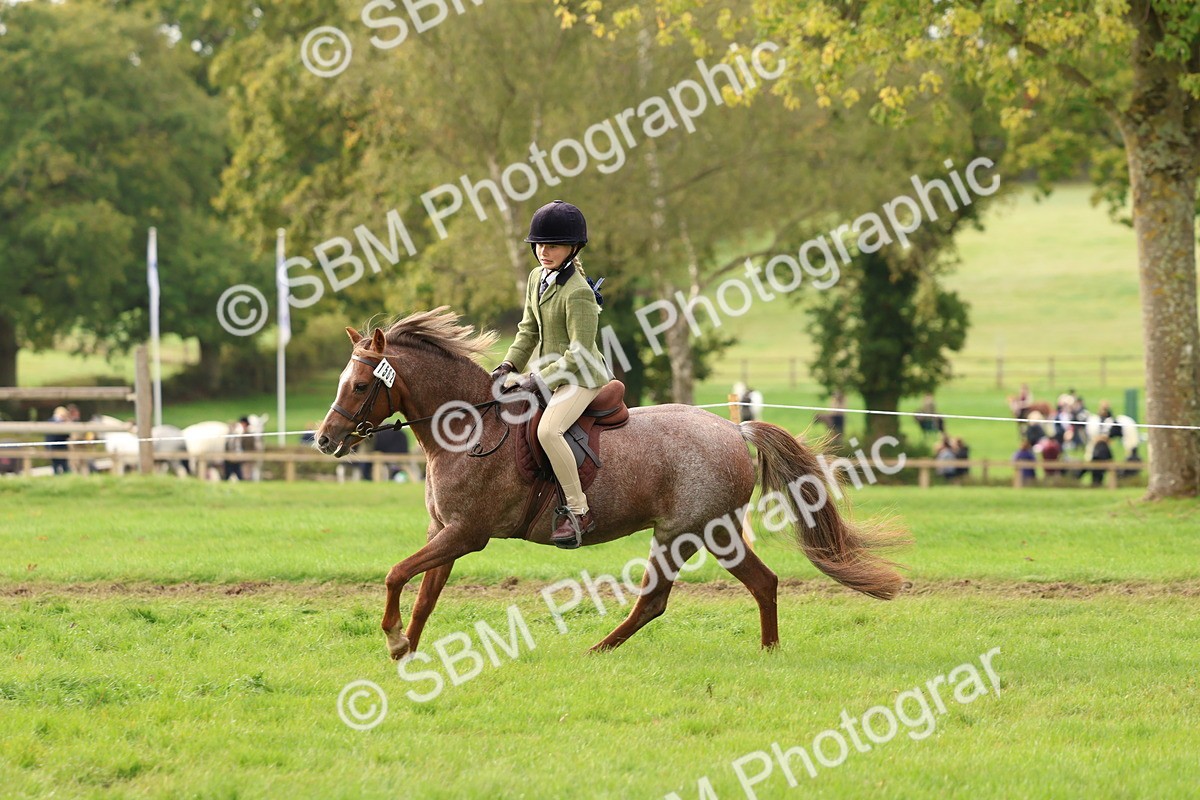 SBM_56681 - S40 - Starters Ridden Showing