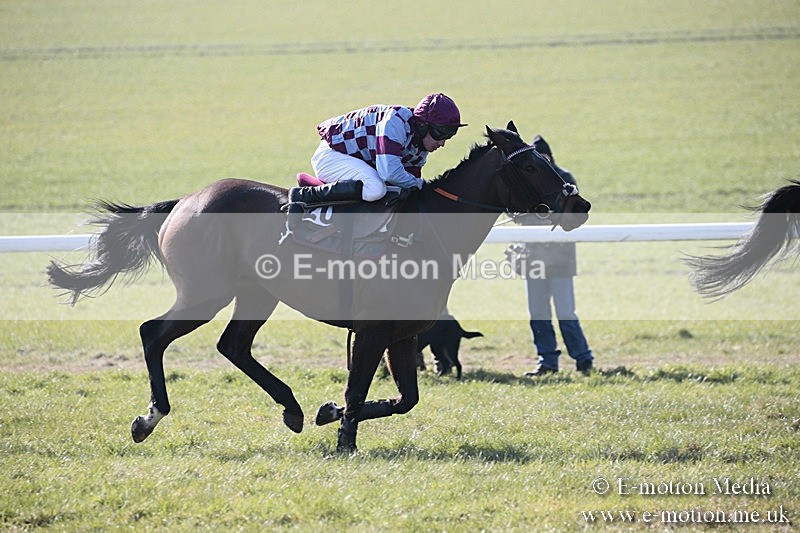 PtP 240218 98 - Vine & Craven Hunt Point-to-Point Barbury racecourse 24/02/18