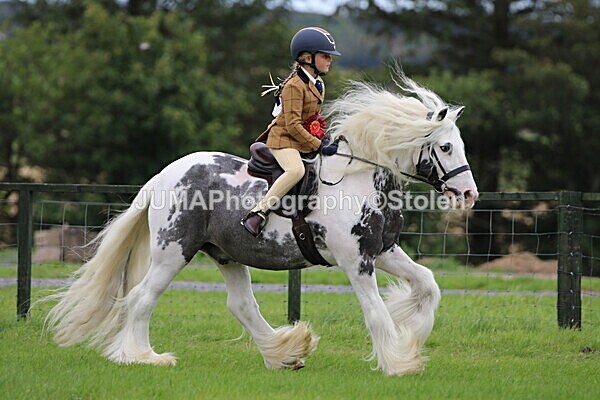 SIAL7744 - championships