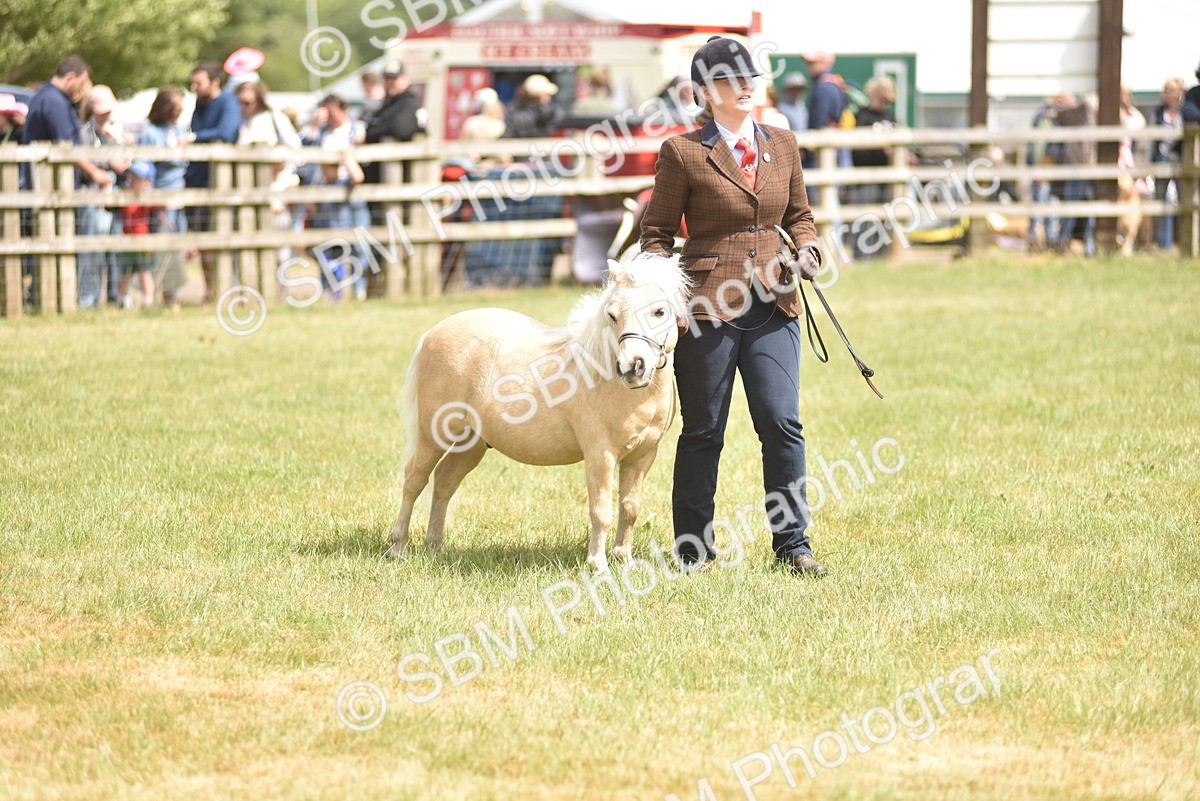 SBM_16050 - Class 117-122 - SSADL RIHS Qualifier