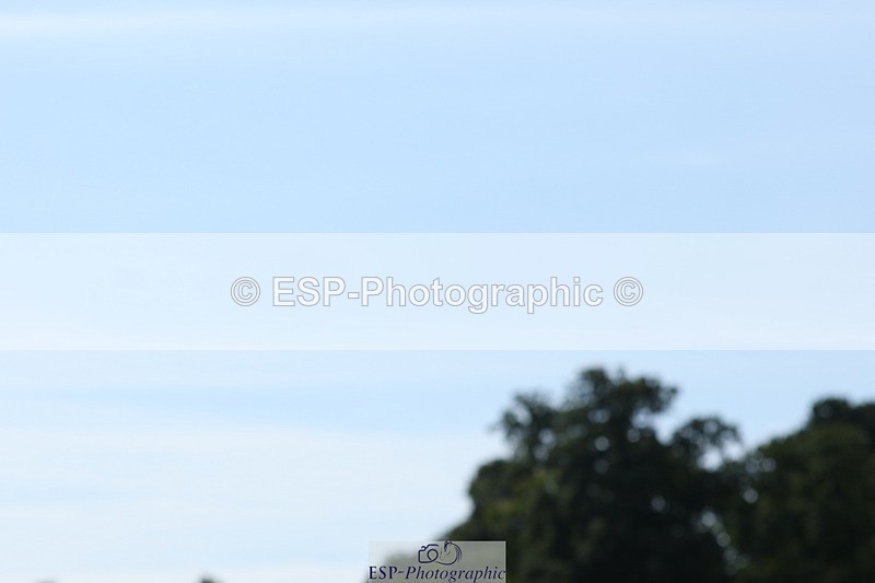 250823A-135805-31426 - Arena D