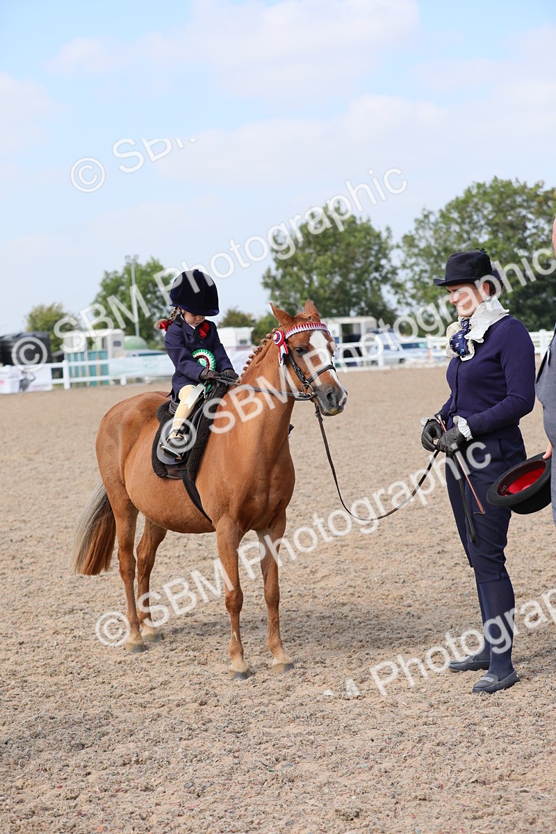 SBM_14112 - Class 309 Lead Rein Pony