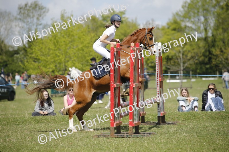 20250427-3587 - Class 14 - Absolute Novice 70cm