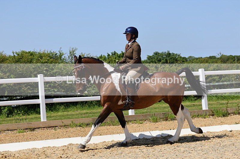 1X9A1893 - Class 12: Ridden Riding Horse/Hack