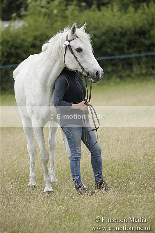 B230619-0587 - Bourne Valley Riding Club Summer Show 23/06/19