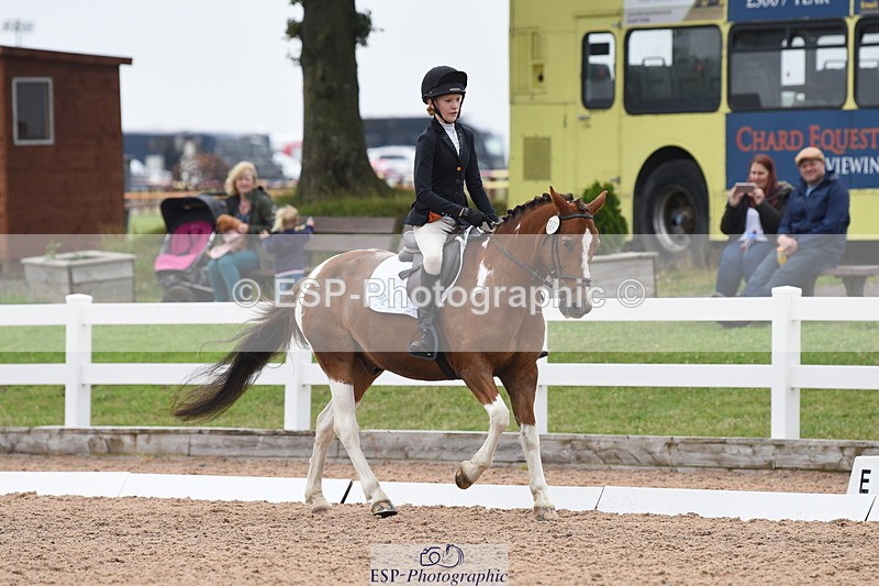 230708A-112318-01569 - Prelim 7