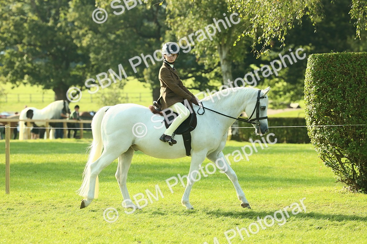 SBM_59297 - S38 - Starters Ridden Showing