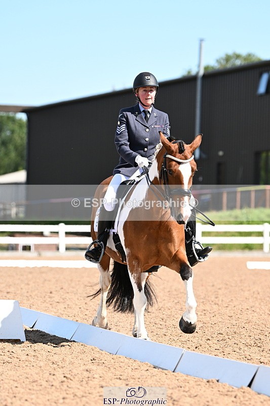 240816A-111100-04018 - 189-Mel.Day-Dolderwydd.lucky.Maisie