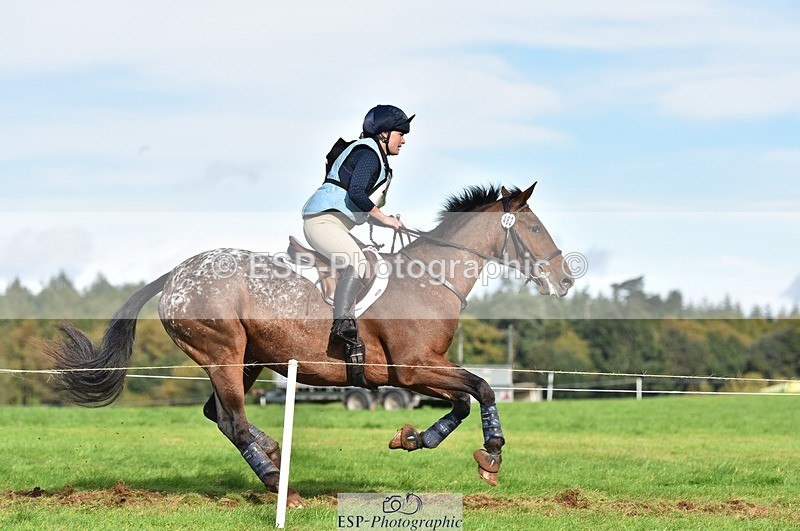 231021-142232-18896 - 482-ODDSPOT.VITAL.ELEMENT-Danielle.Davies-SC+XC