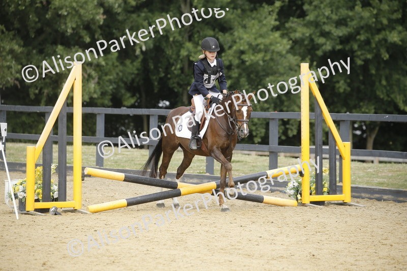 20250622-3695 - 50cm