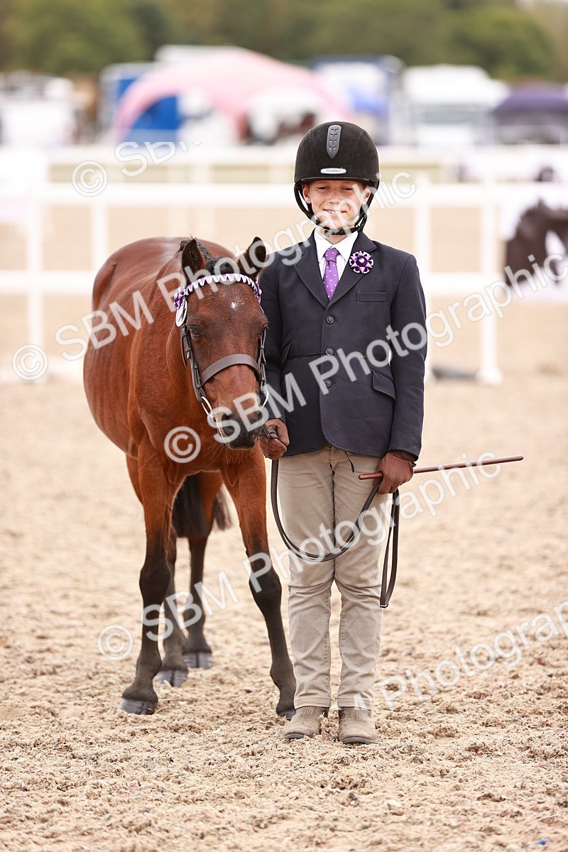 SBM_18563 - Class 421 - Childs Best Friend - Jnr