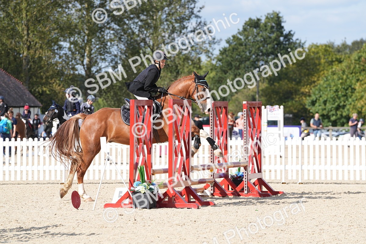 SBM_48564 - J22 - Junior Horse 65cm Championship
