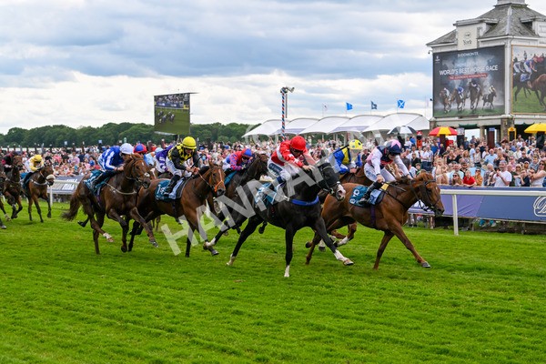 310525-Race 5-Frankies Dream-9864 - Race 5 3.50pm Reg Bond Always And Forever Handicap