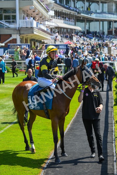 270523-Race 1-Doctor Khan Junior-0123 - Race 1 1.35pm William Hill Keep Your Raceday Positive Handicap