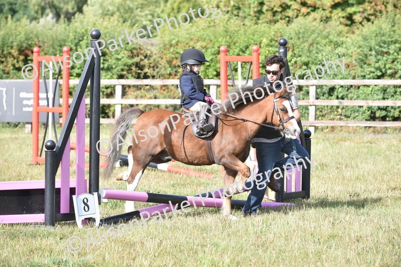 20250831-0328 - Class 6 - Minimus Jumping 30cm