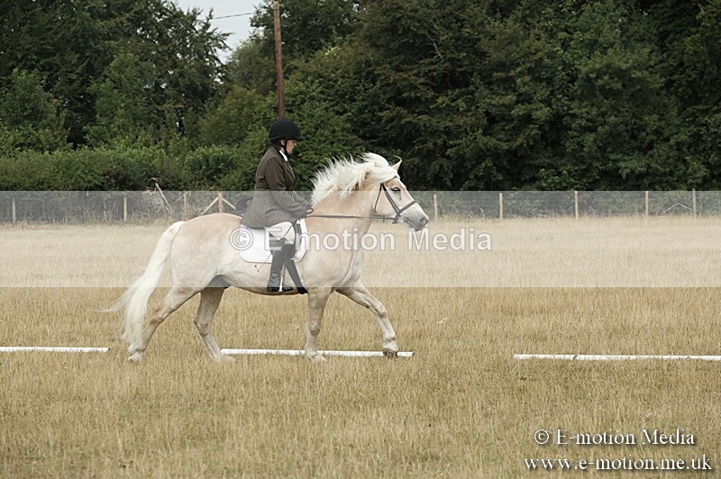 _PJP5744 - Dressage Classes BVRC Show 2018