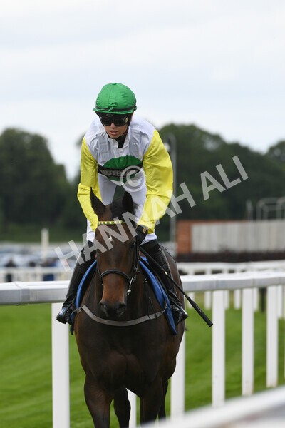 yr11062022r2-25 - Race 2 2.00pm Queen Mother's Cup