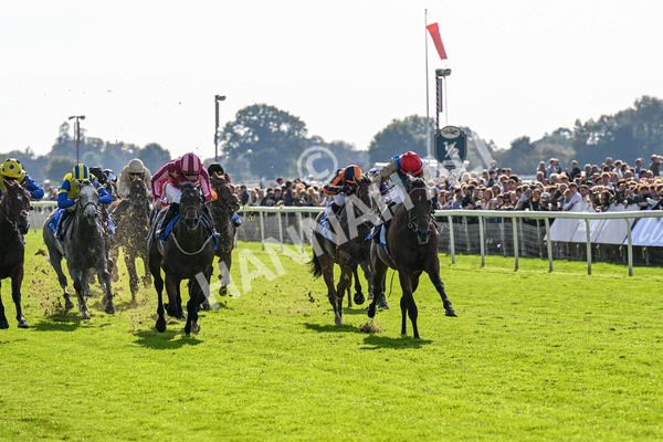 111025-Race 1-Division-0169 - Race 1 Coral Rockingham Stakes at York