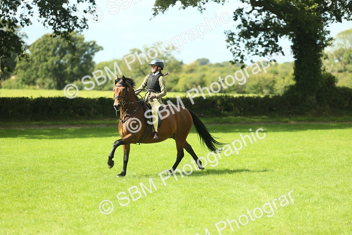 SBM_42993 - S30 - M&M Working hunter Pony