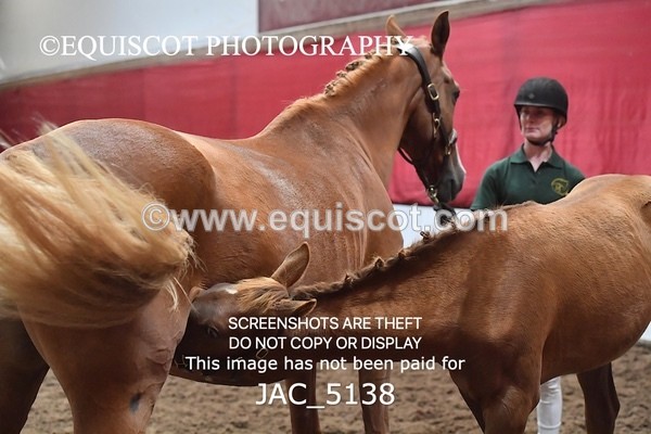 JAC_5138 - 9 Zinzipan