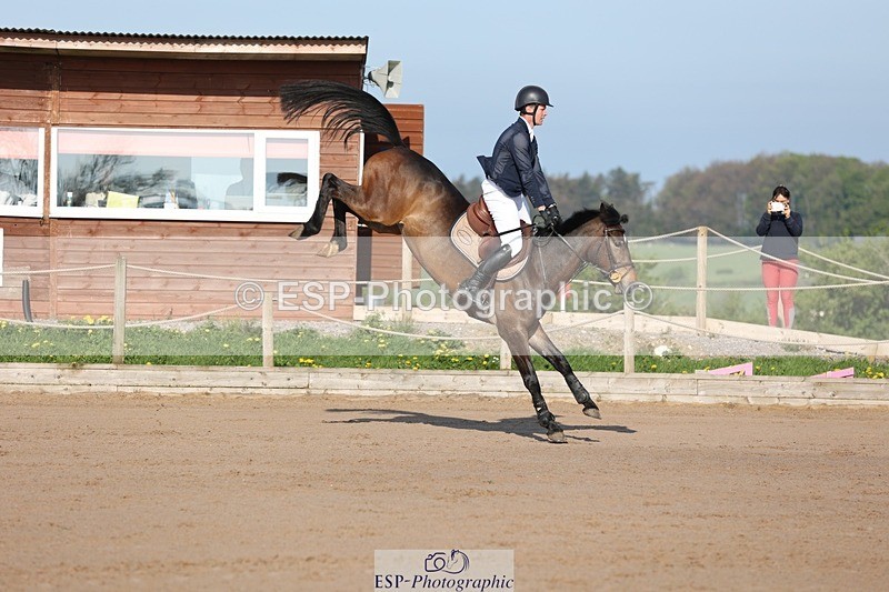 250427-084354-14619 - Cls 28 Young Horse 5yr old