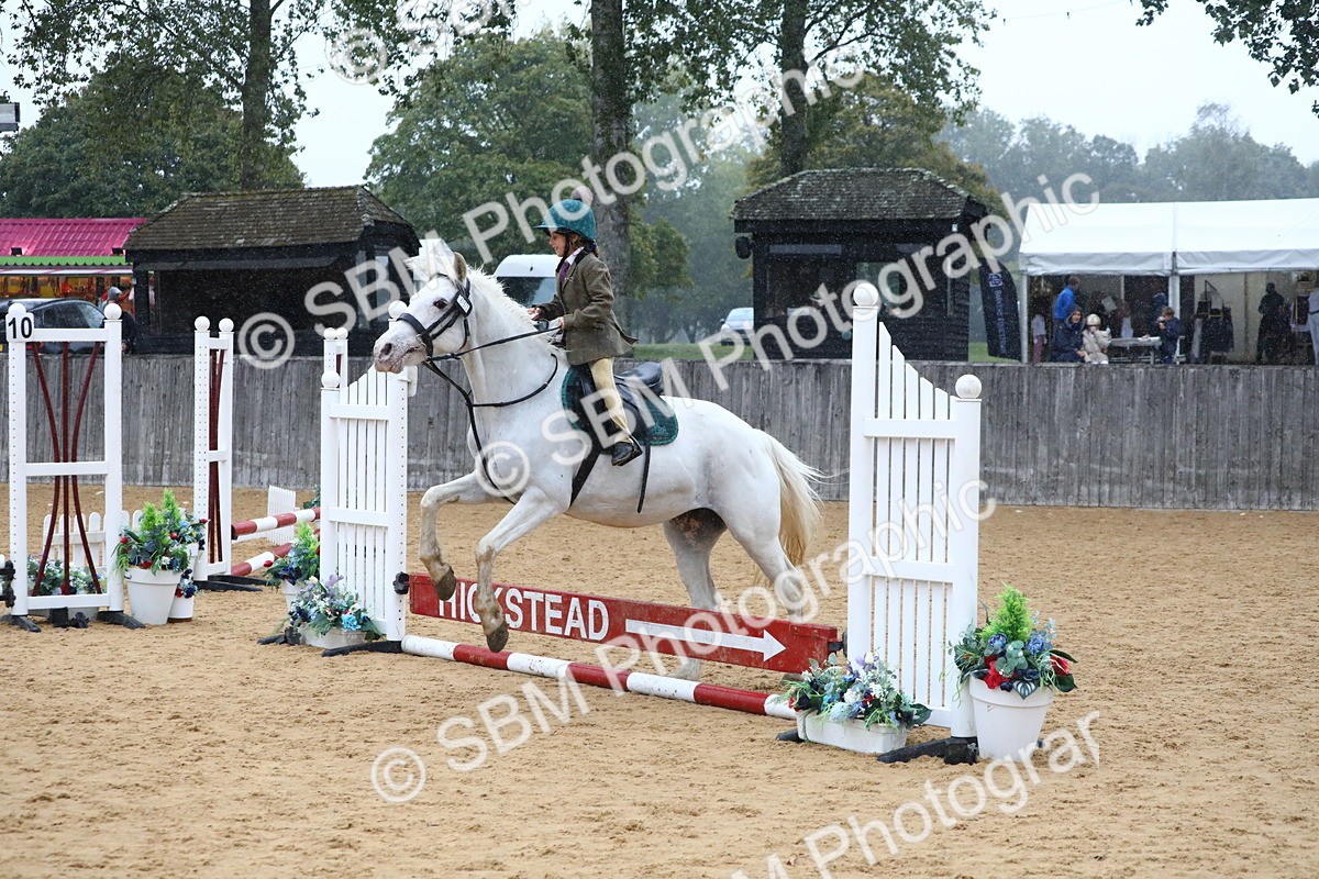 SBM_71470 - J4 - Mini Tour Junior Pony 45cm Championship