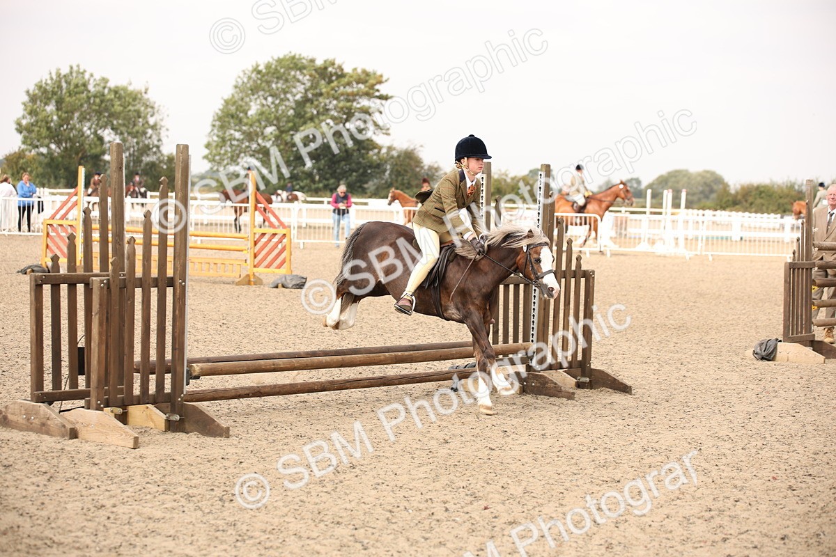 SBM_12580 - Class 405b - M&M Working Veteran 50cm 20+