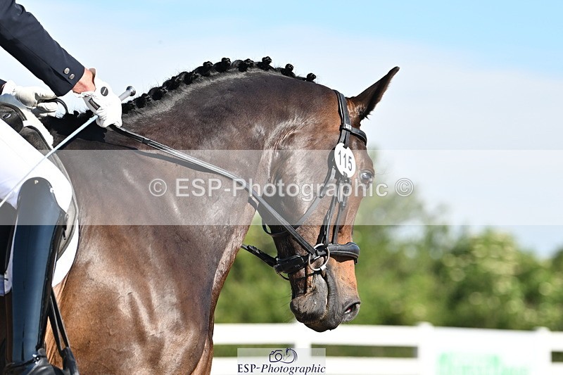 240621A-090034-01095 - Cls 1 BD Prelim 15