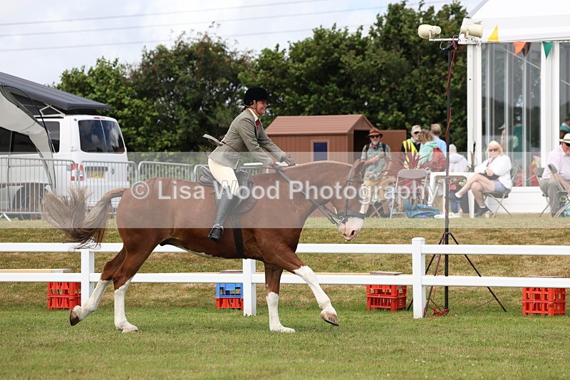 3E7A0296 - Class 6: Rising Star Maxi Cobs